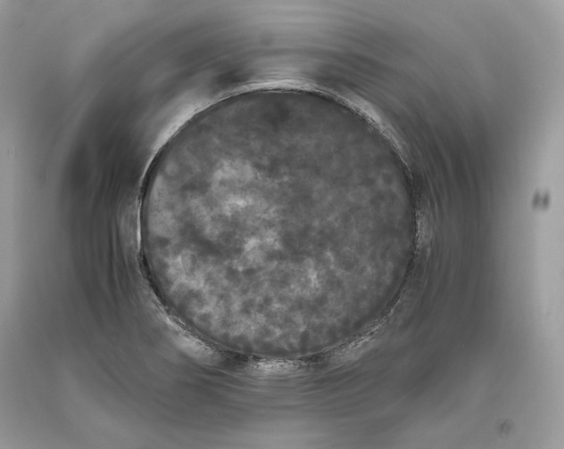 X0000093461274200710261013