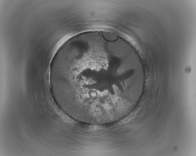 X0000093461275200710261013