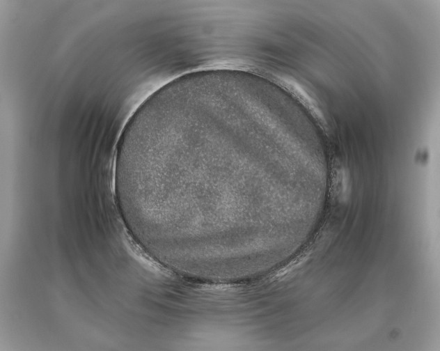 X0000093461276200710261013