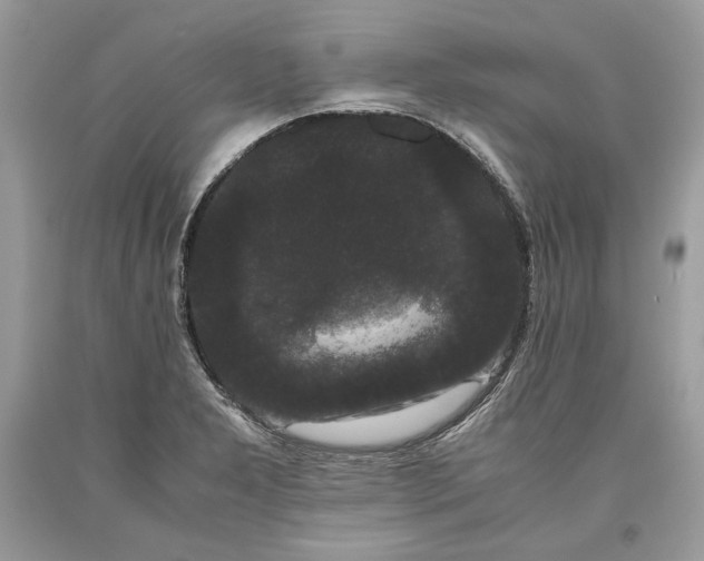 X0000093461277200710261013