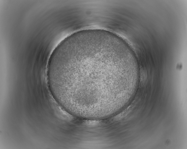 X0000093461278200710261013