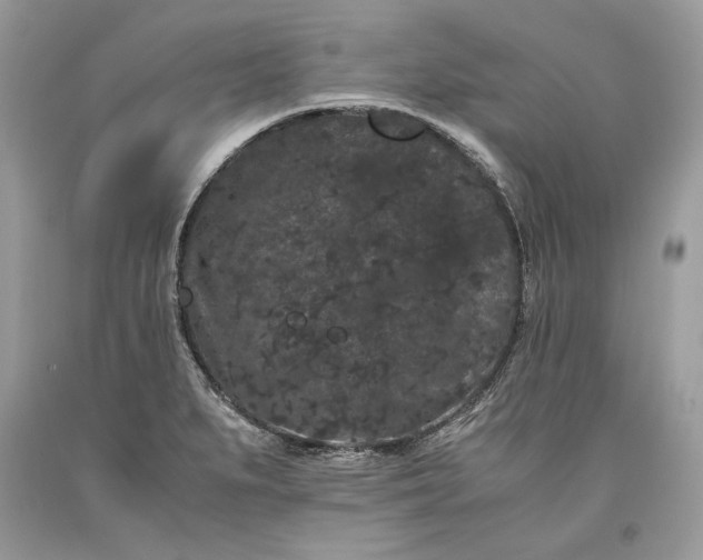 X0000093461279200710261013