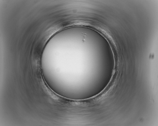 X0000093461281200710261013