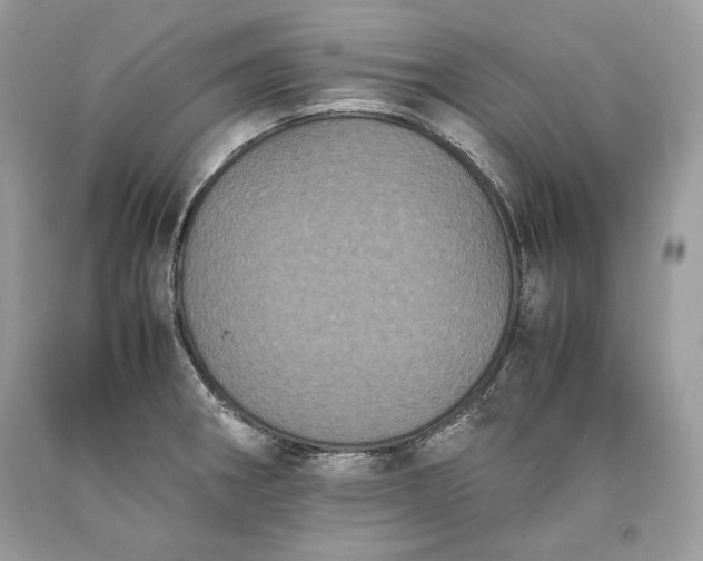 X0000093461282200710261012