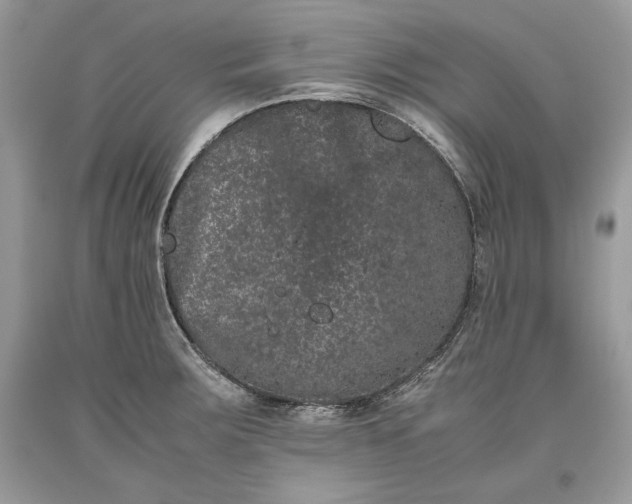 X0000093461283200710261012