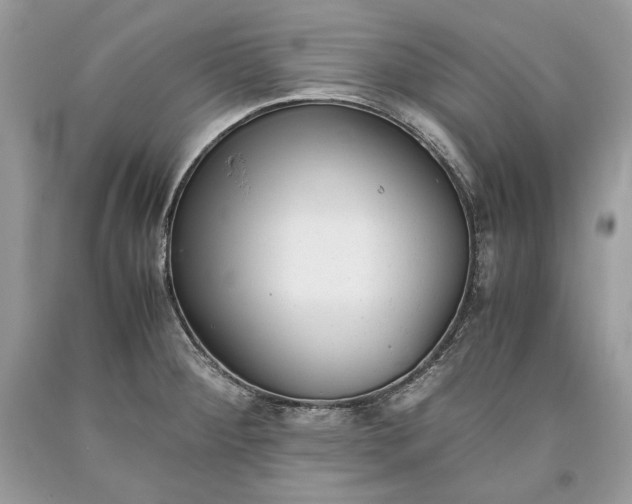 X0000093461284200710261012