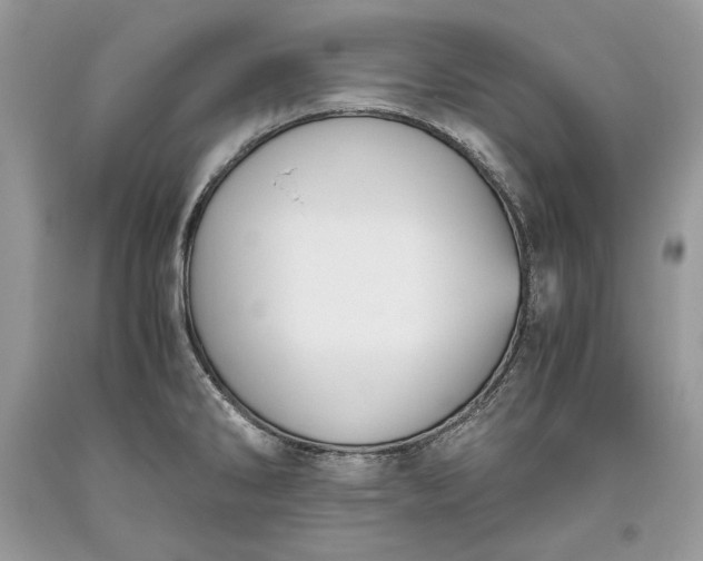 X0000093461286200710261012