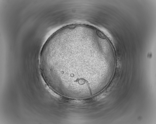 X0000093461287200710261012