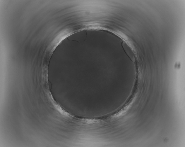 X0000093461289200710261012