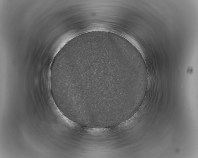 X0000093461290200710261012