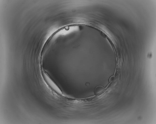 X0000093461291200710261012