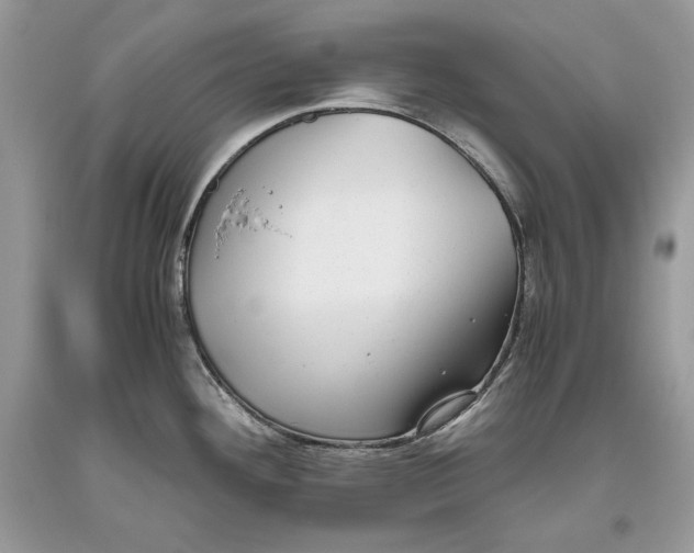 X0000093461292200710261012