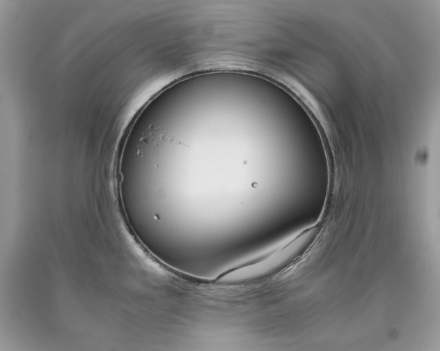 X0000093461293200710261012