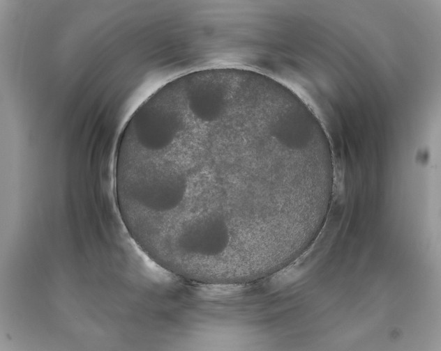 X0000093461294200710261012