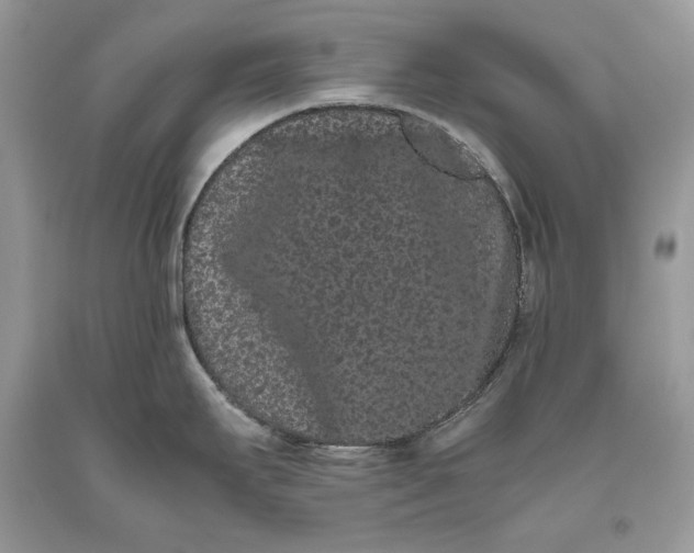 X0000093461295200710261012