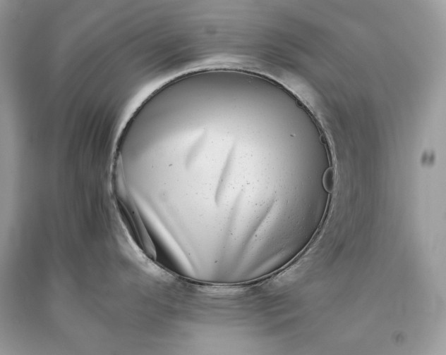 X0000093461296200710261012