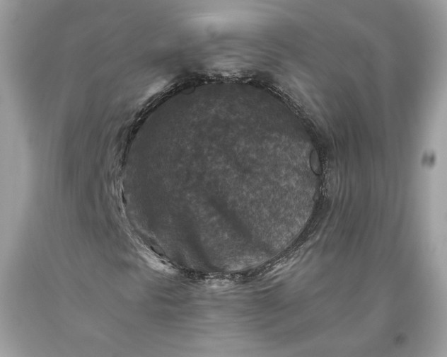 X0000093461297200710261012