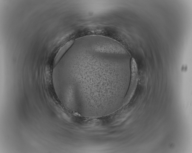 X0000093461298200710261012