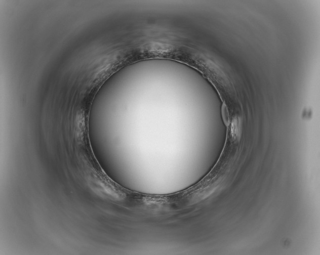 X0000093461299200710261012