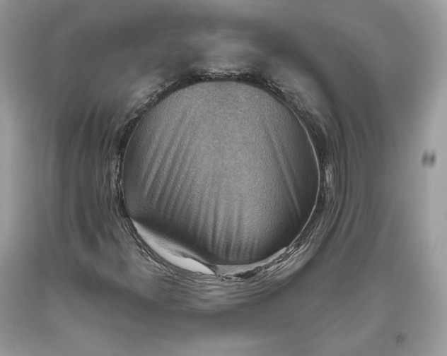 X0000093461300200710261012