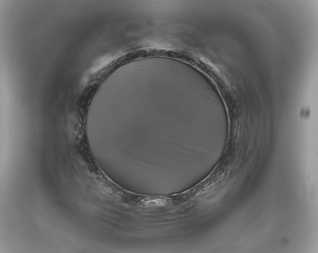 X0000093461303200710261012