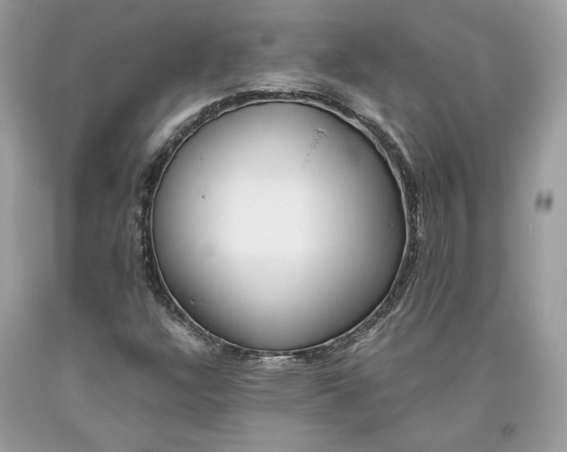 X0000093461304200710261012