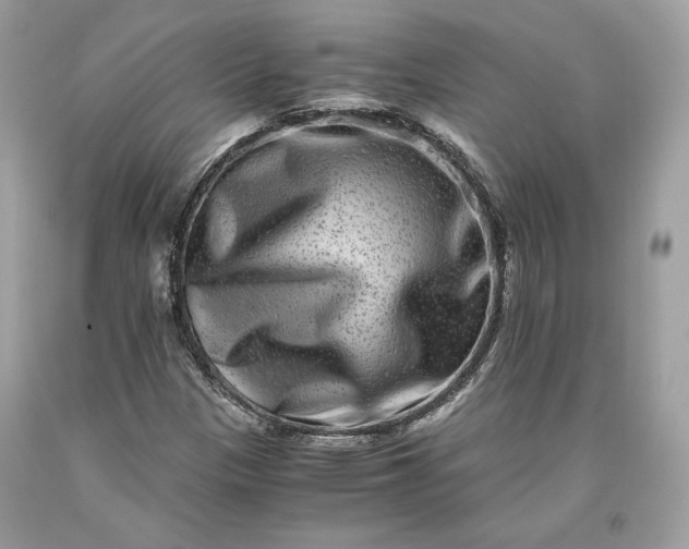 X0000093461305200710261012