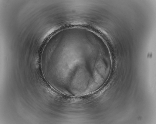 X0000093461306200710261012