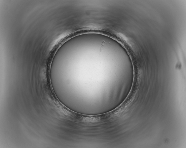 X0000093461307200710261012