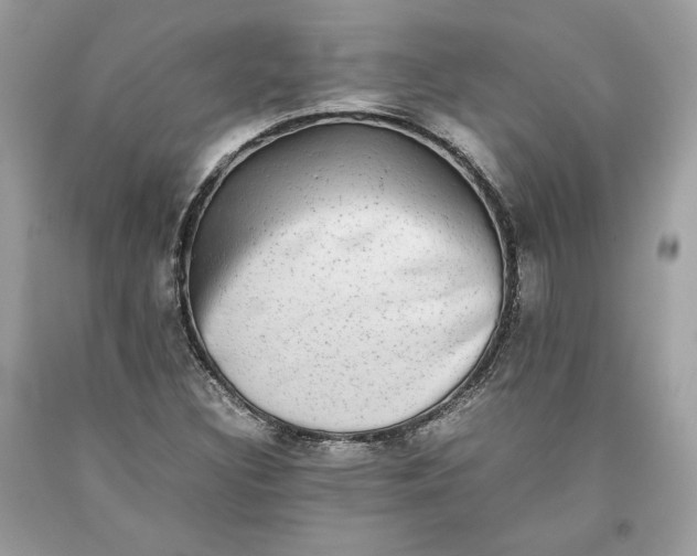 X0000093461308200710261012