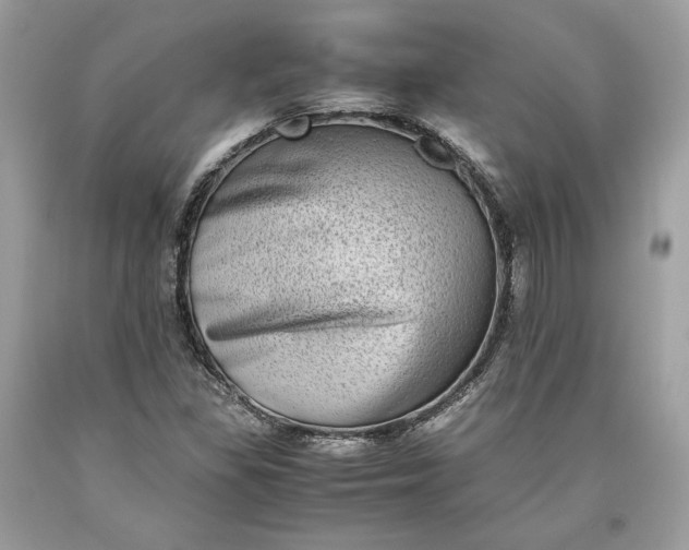 X0000093461309200710261012