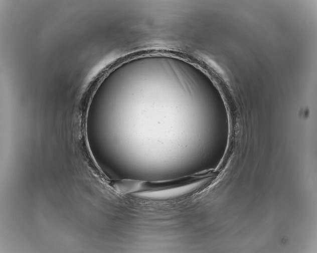 X0000093461310200710261012