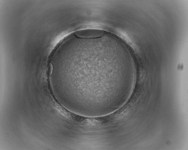 X0000093461312200710261012