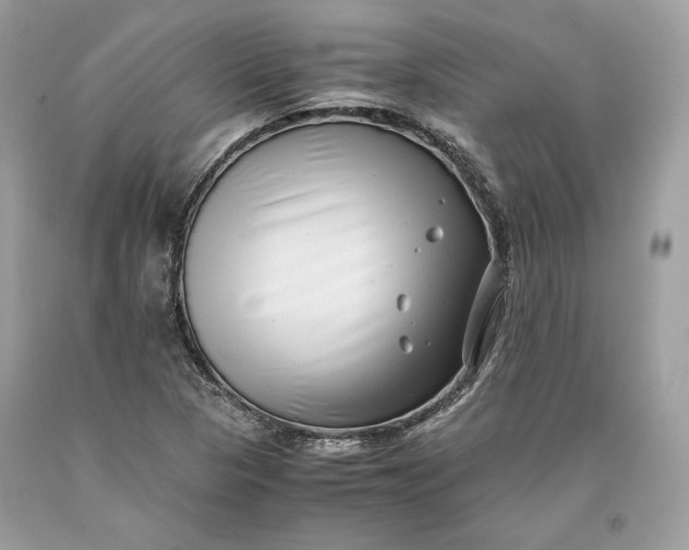 X0000093461313200710261012