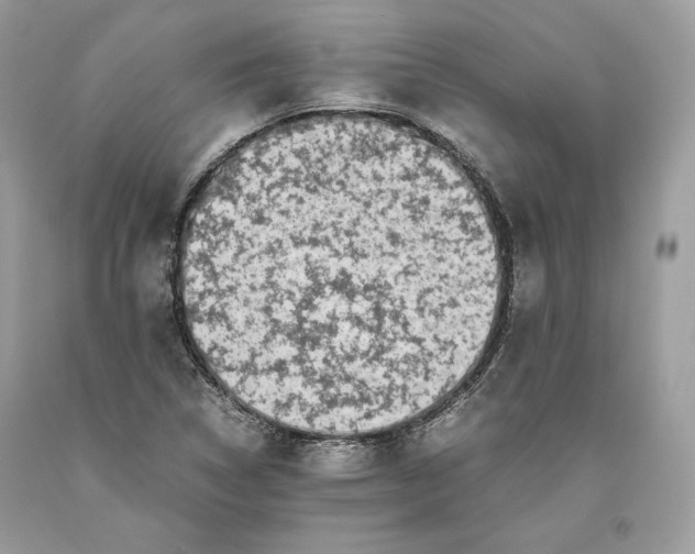 X0000093461314200710261012