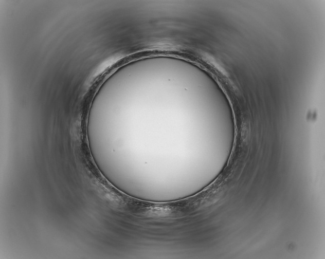 X0000093461315200710261012