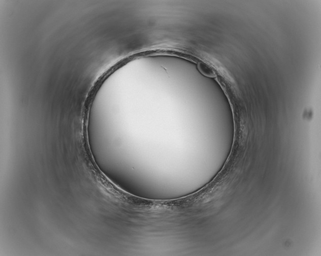 X0000093461316200710261012