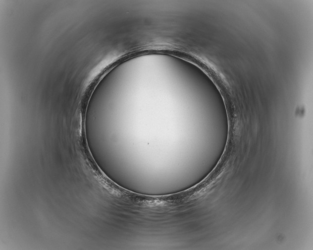 X0000093461317200710261012