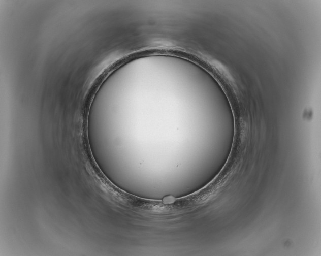 X0000093461318200710261012