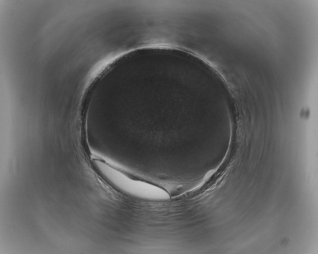 X0000093461319200710261012