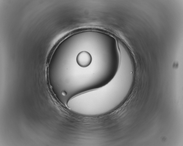 X0000093461320200710261012