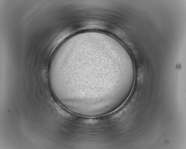 X0000093461321200710261012