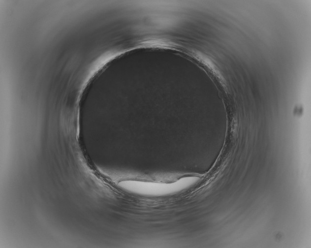 X0000093461323200710261012