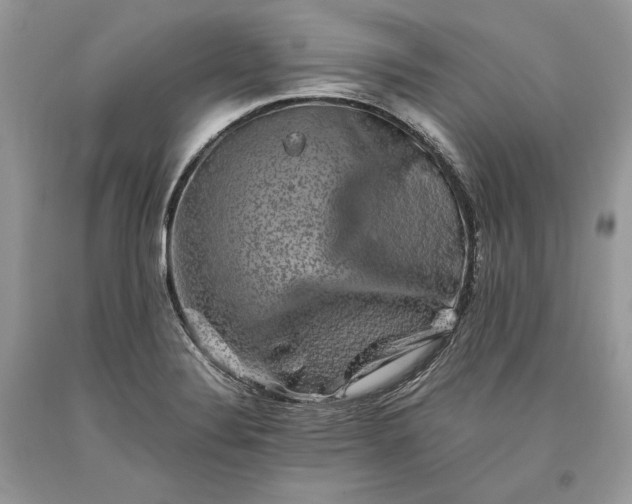 X0000093461324200710261012