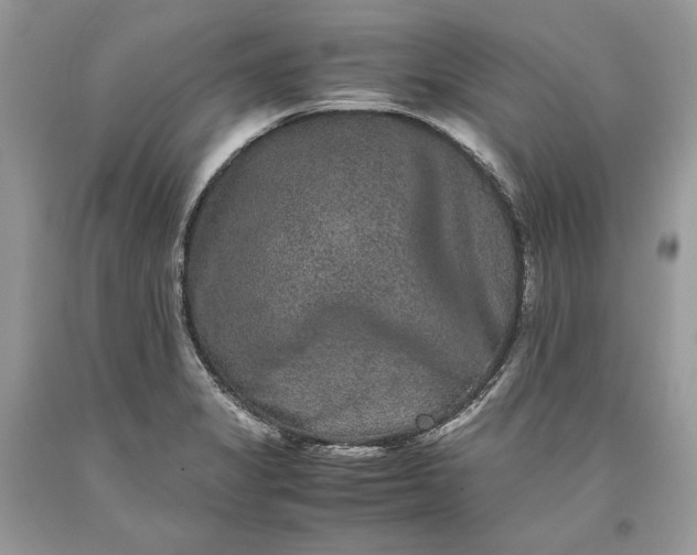 X0000093461325200710261012