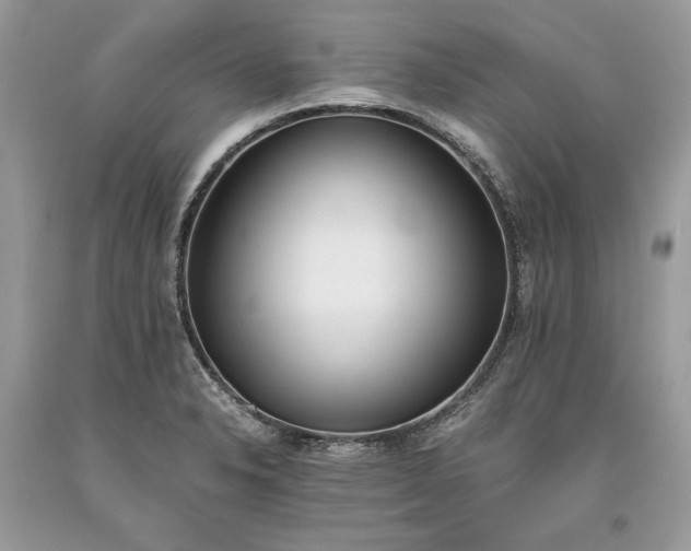 X0000093461326200710261012