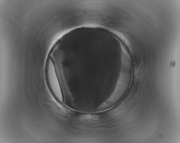 X0000093461327200710261012