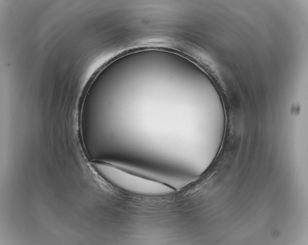 X0000093461328200710261012