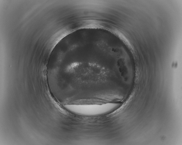 X0000093461329200710261012