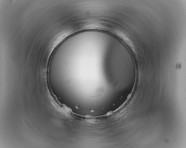 X0000093461330200710261012